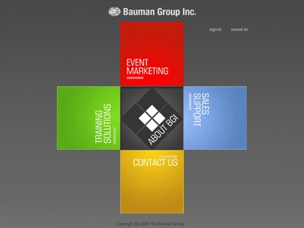 The Bauman Group